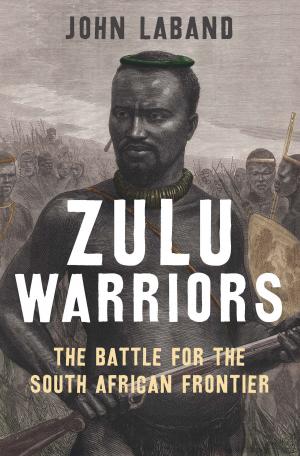 Cover of the book Zulu Warriors by Wayne Franklin