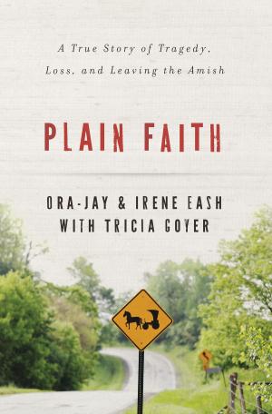 Cover of the book Plain Faith by Karen Kingsbury