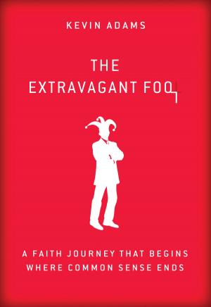 Cover of the book The Extravagant Fool by Scot McKnight