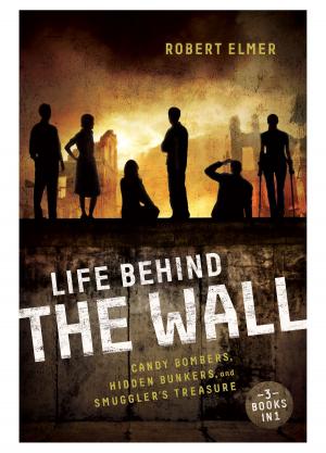 Cover of the book Life Behind the Wall by Chris Auer, Lori Walburg, Dandi Daley Mackall