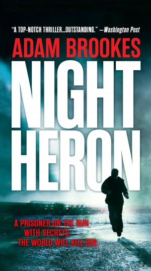 Cover of the book Night Heron by Robert Jackson Bennett