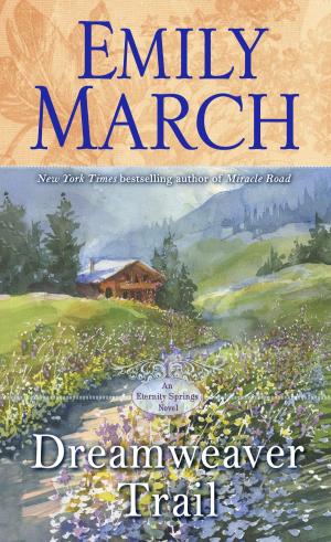 Cover of the book Dreamweaver Trail by Tamara Merrill