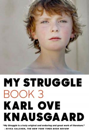 Cover of the book My Struggle: Book 3 by Sheila Weller