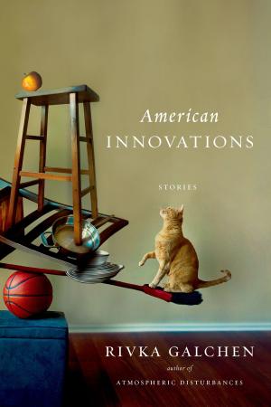Cover of the book American Innovations by Robert Pinsky