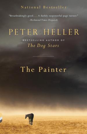 Cover of the book The Painter by Akiyuki Nozaka