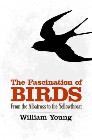 Book cover of The Fascination of Birds