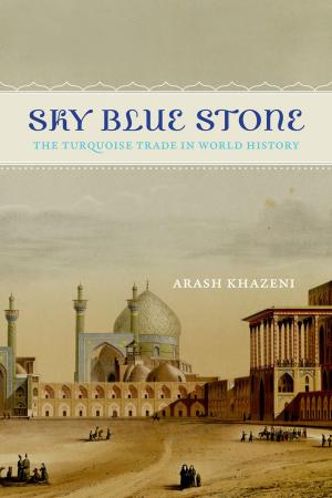 Cover of the book Sky Blue Stone by Louise Young