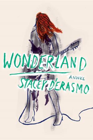 Cover of the book Wonderland by Susan Lang, Lawrence Robbins M.D.