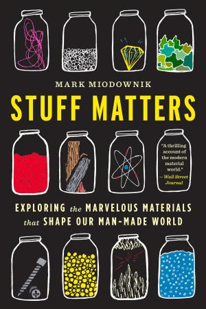 Cover of the book Stuff Matters by Bernard Kayser