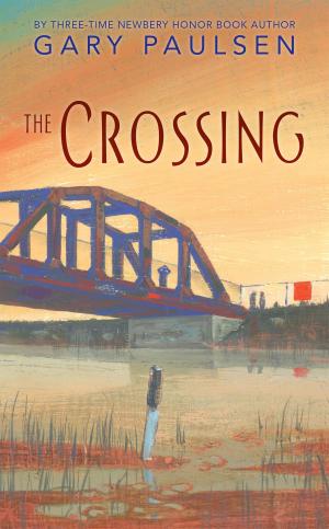 Cover of the book The Crossing by Nicole Andrea Burt (nee Spencer)