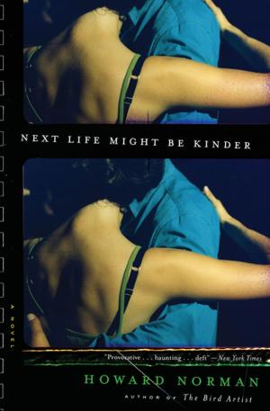 Cover of the book Next Life Might Be Kinder by Michael Callahan