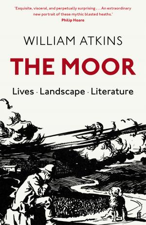 Book cover of The Moor
