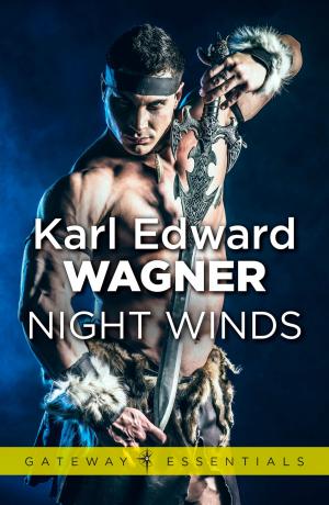 Cover of the book Night Winds by E. C. Eliott