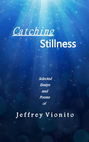 bigCover of the book Catching Stillness by 