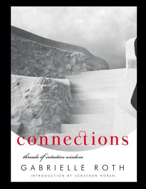 Cover of the book Connections by Jim Koehneke