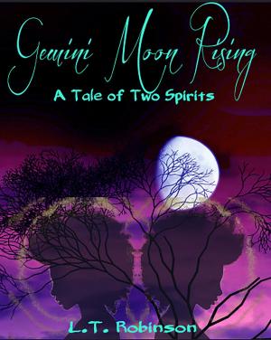 Book cover of Gemini Moon Rising
