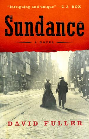 Cover of the book Sundance by E.E. Burke