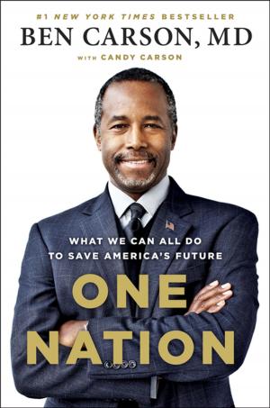 Cover of the book One Nation by 