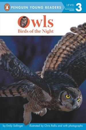 Cover of the book Owls by Kiel Phegley