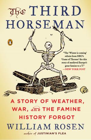 Cover of the book The Third Horseman by Madeline Hunter