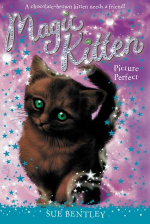 Cover of the book Picture Perfect #13 by Michelle Zink