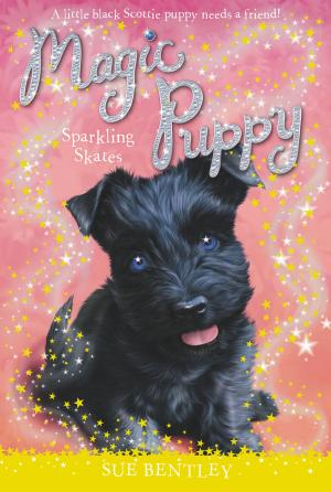 Cover of the book Sparkling Skates #13 by Polly Shulman