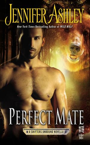 Cover of the book Perfect Mate by Lise Saffran