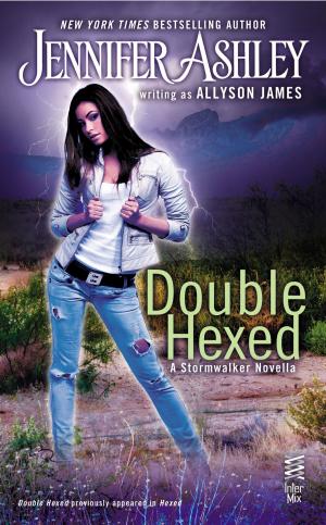 Cover of the book Double Hexed by Tabor Evans