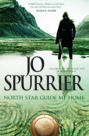 Cover of the book North Star Guide Me Home by Traci Harding