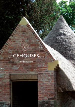 Cover of the book Icehouses by Professor Faye Hammill, Professor Mark Hussey
