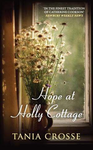 Cover of the book Hope at Holly Cottage by Richard Jay Parker