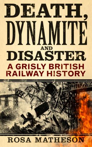 Cover of the book Death, Dynamite & Disaster by David England