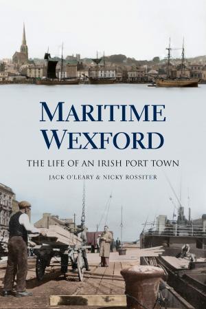 Book cover of Maritime Wexford