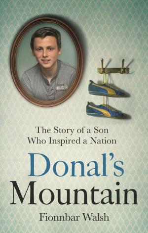 bigCover of the book Donal's Mountain by 