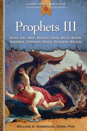 Cover of the book Prophets III by John Cleary