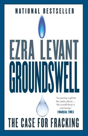 Cover of the book Groundswell by Katherine Ashenburg