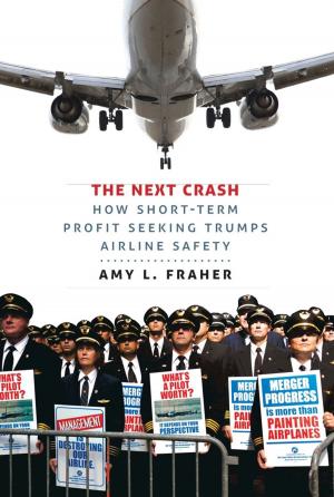 Cover of the book The Next Crash by Hikari Hori