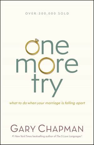 Cover of the book One More Try by Rene Pache