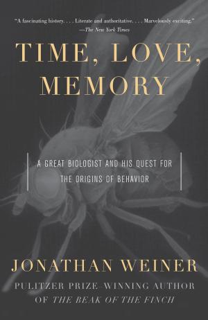 Cover of the book Time, Love , Memory by John Berger