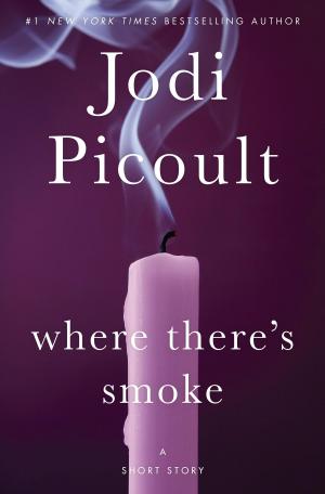 Cover of the book Where There's Smoke: A Short Story by Stefanie Pintoff