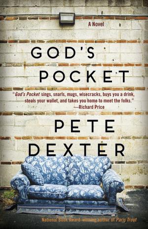 Cover of the book God's Pocket by Nora Roberts