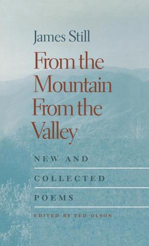 Cover of the book From the Mountain, From the Valley by Jim Tomlinson