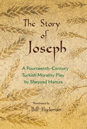 Cover of the book The Story of Joseph by Darren Kew