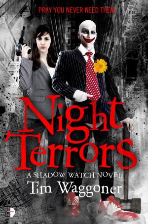 Cover of the book Night Terrors by Paul Loomans