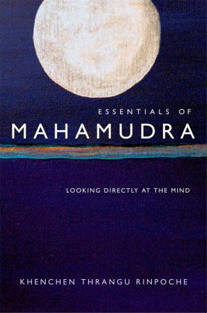 Book cover of Essentials of Mahamudra