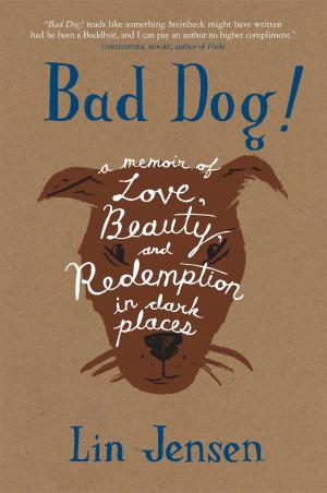 Cover of the book Bad Dog! by David B. Gray