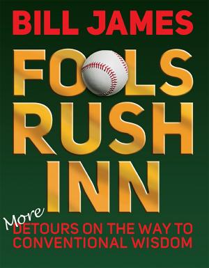 Cover of Fools Rush Inn
