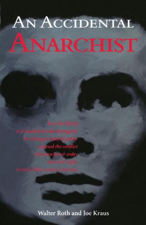 Cover of the book An Accidental Anarchist by Steve Tomashek