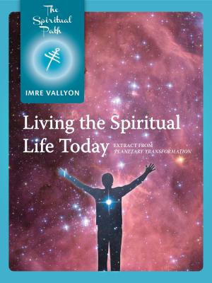 Cover of the book Living The Spiritual Life Today by Lama Christie McNally