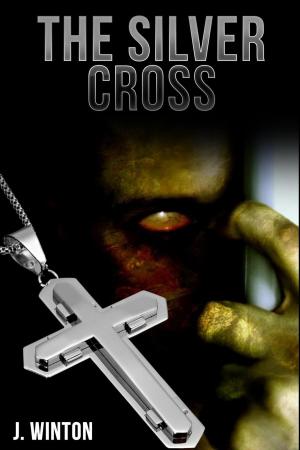 bigCover of the book The Silver Cross (Psychic Detective Mysteries #1) by 
